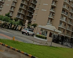 Latest Construction Updates